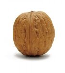 A Walnut